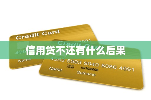 信用贷不还的后果与金融机构委托追收的深度解析